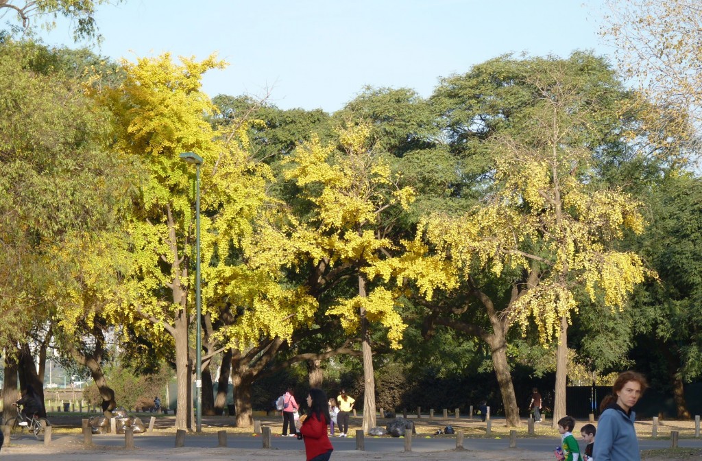 Foto: Lago de Palermo - Ciudad Autónoma de Buenos Aires (Buenos Aires), Argentina