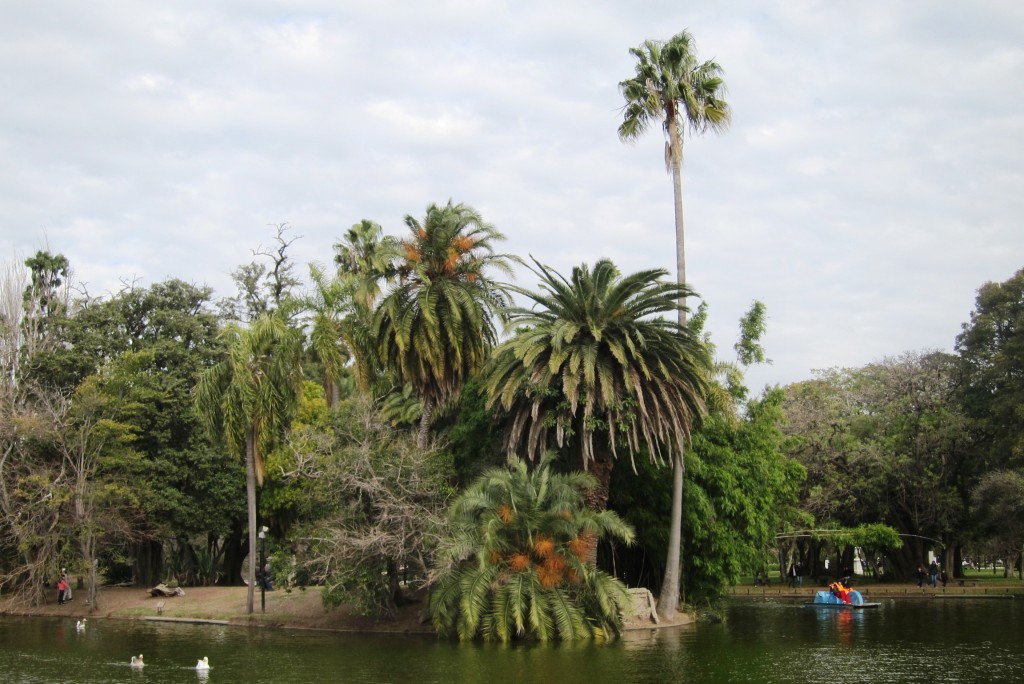 Foto: Parque Tres de Febrero. - Ciudad de Buenos Aires (Buenos Aires), Argentina