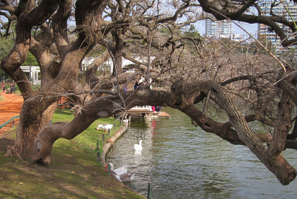 Foto: Parque Tres de Febrero. - Ciudad de Buenos Aires (Buenos Aires), Argentina