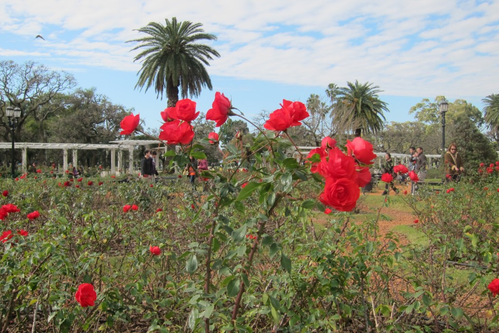 Foto: Parque Tres de Febrero. - Ciudad de Buenos Aires (Buenos Aires), Argentina