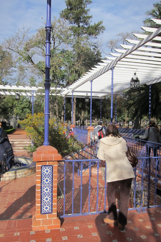 Foto: Parque Tres de Febrero. - Ciudad de Buenos Aires (Buenos Aires), Argentina