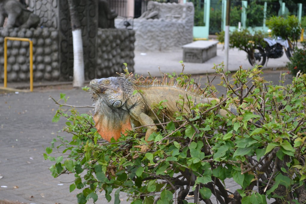 Foto de Filadelfia De Carrillos (Guanacaste), Costa Rica