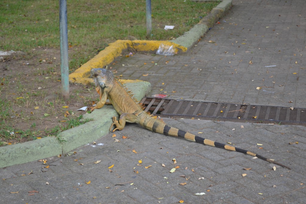 Foto de Filadelfia De Carrillos (Guanacaste), Costa Rica