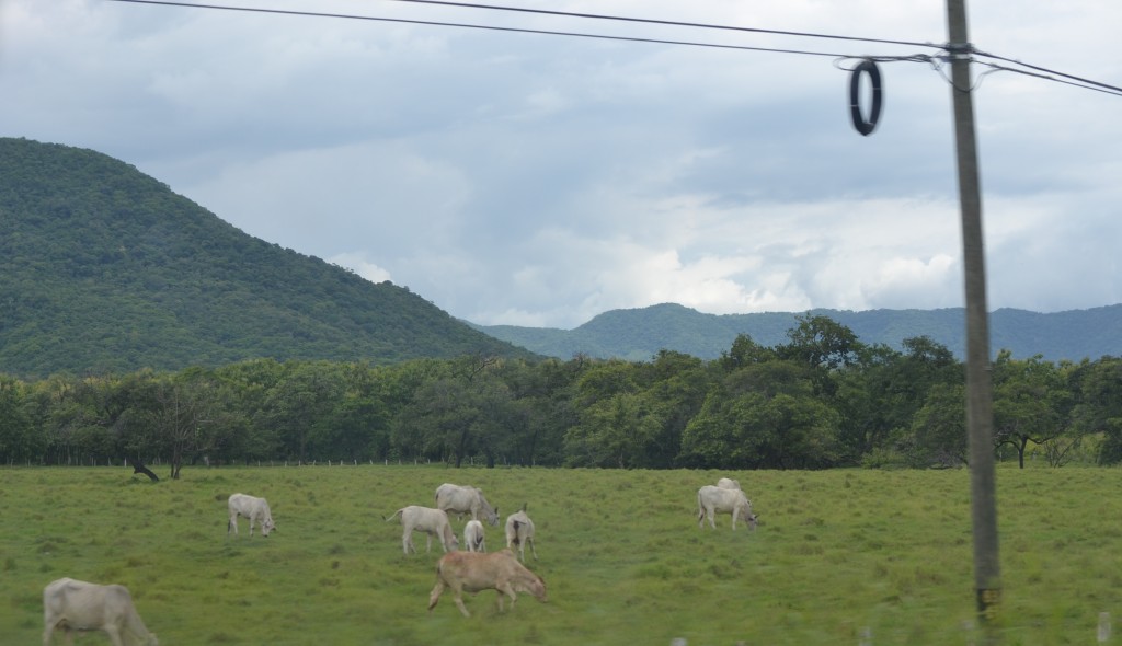 Foto de Nicoya (Guanacaste), Costa Rica