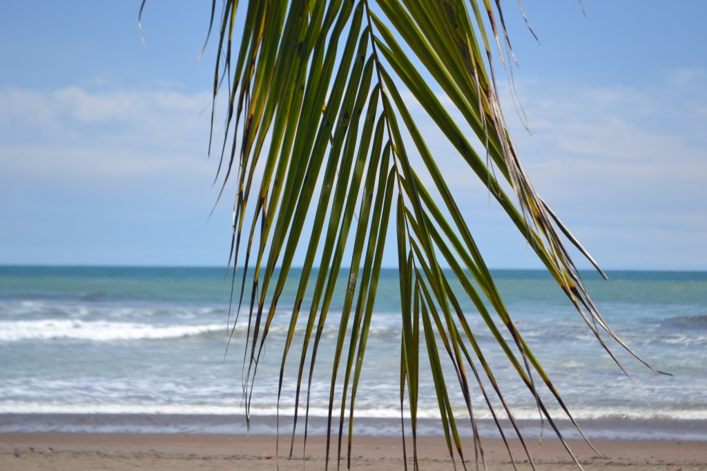 Foto de Jacob (Puntarenas), Costa Rica