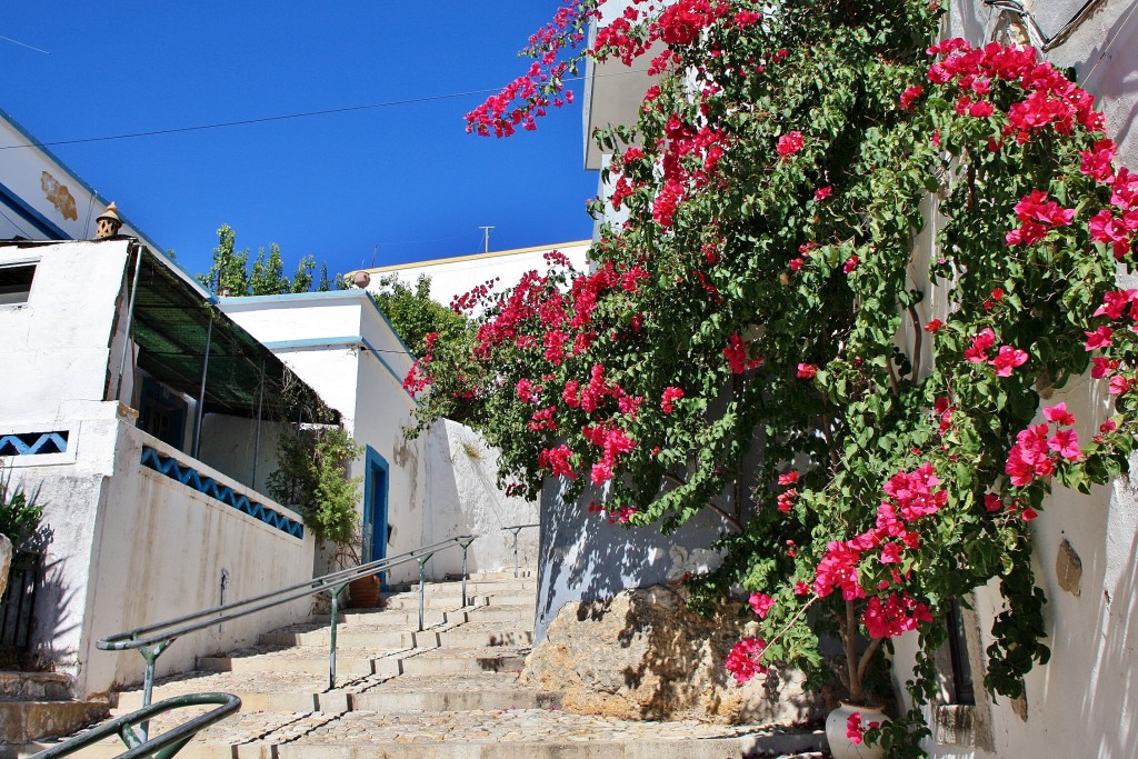 Foto: Vista del pueblo - Estoi (Faro), Portugal