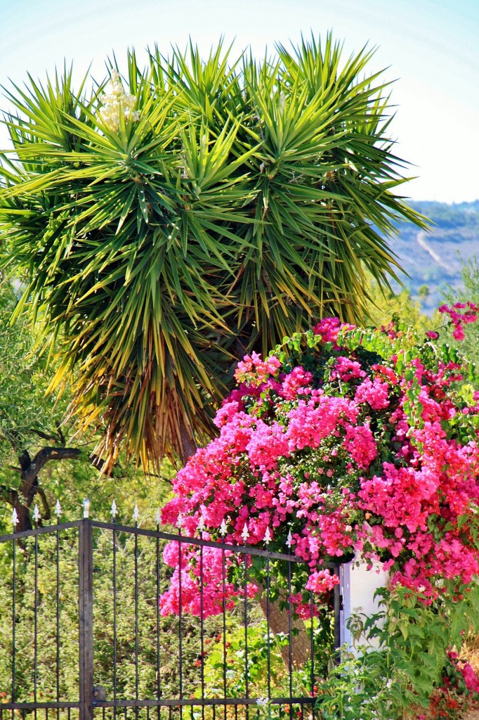 Foto: Vista del pueblo - Estoi (Faro), Portugal