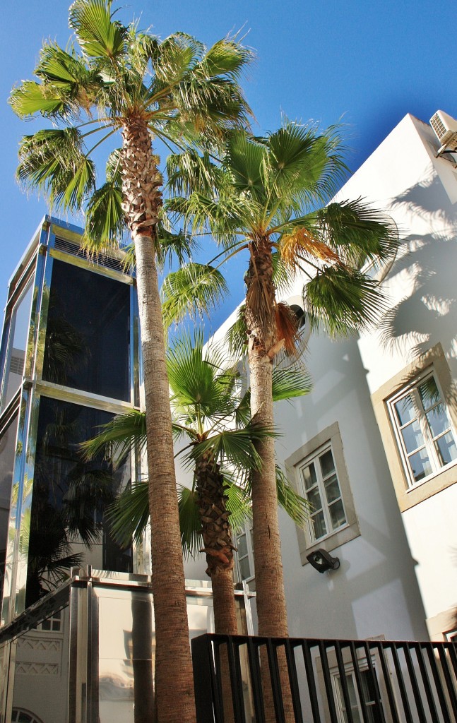 Foto: Centro histórico - Loulé (Faro), Portugal