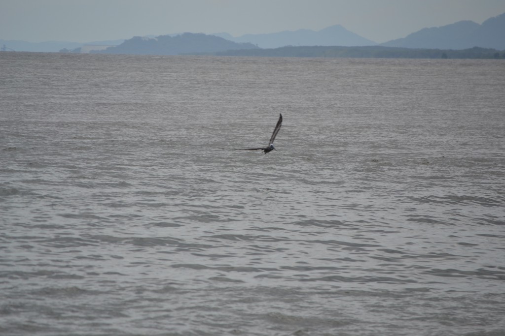 Foto de Puntarenas, Costa Rica