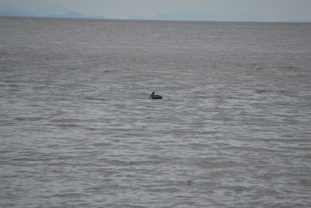 Foto de Puntarenas, Costa Rica