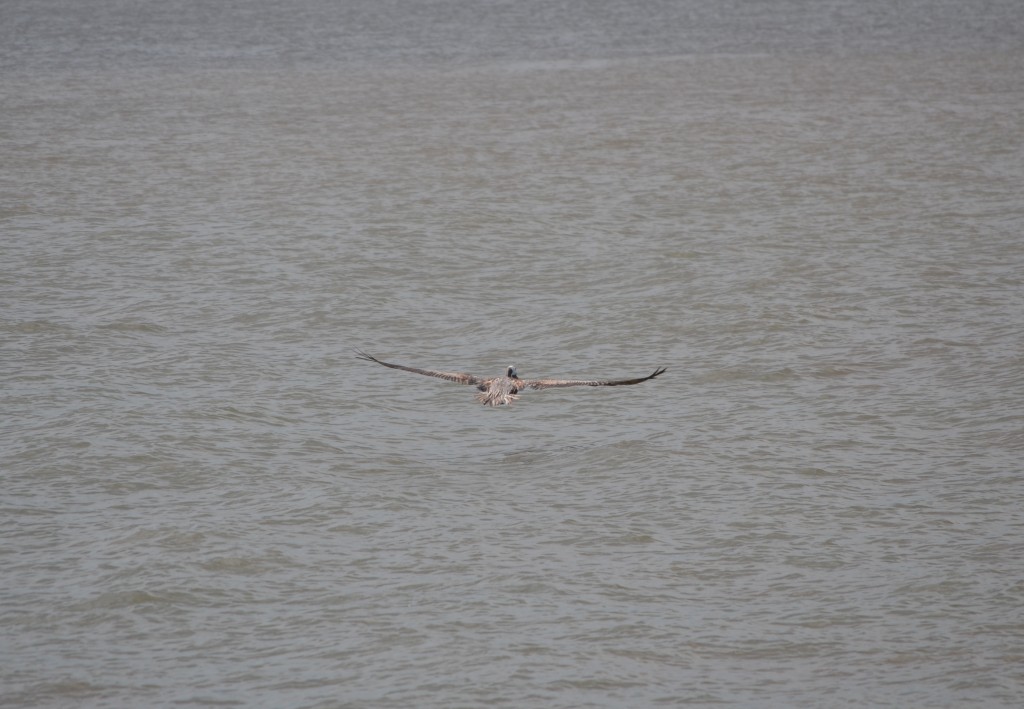 Foto de Puntarenas, Costa Rica