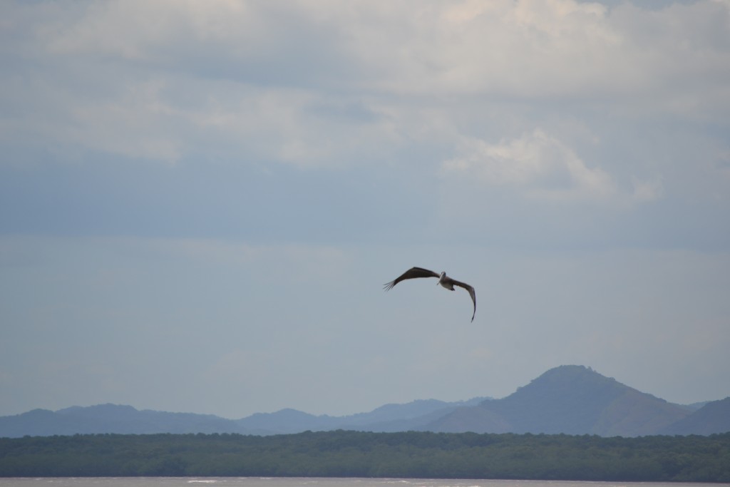 Foto de Puntarenas, Costa Rica