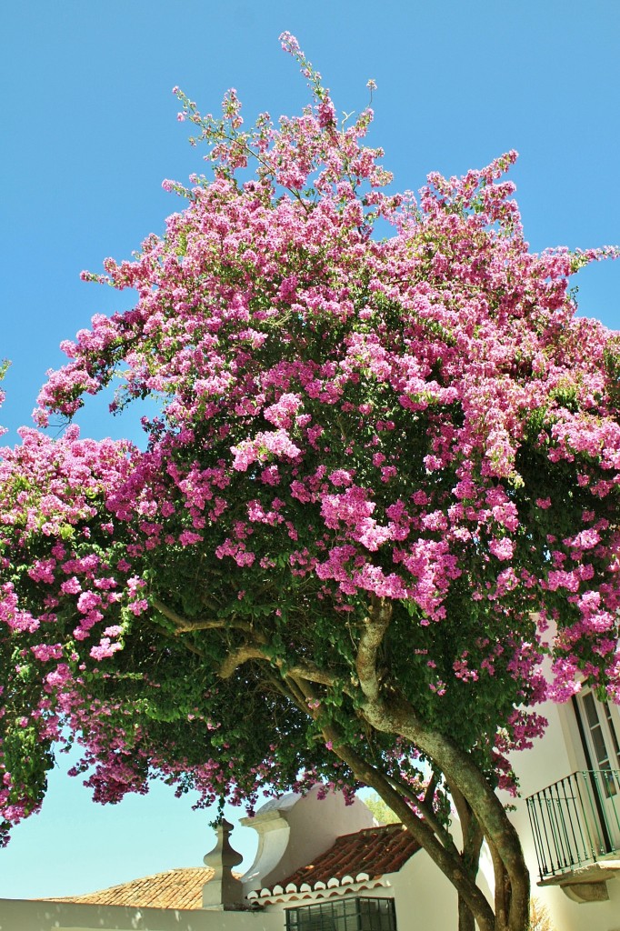 Foto: Recinto amurallado - Ourém (Santarém), Portugal