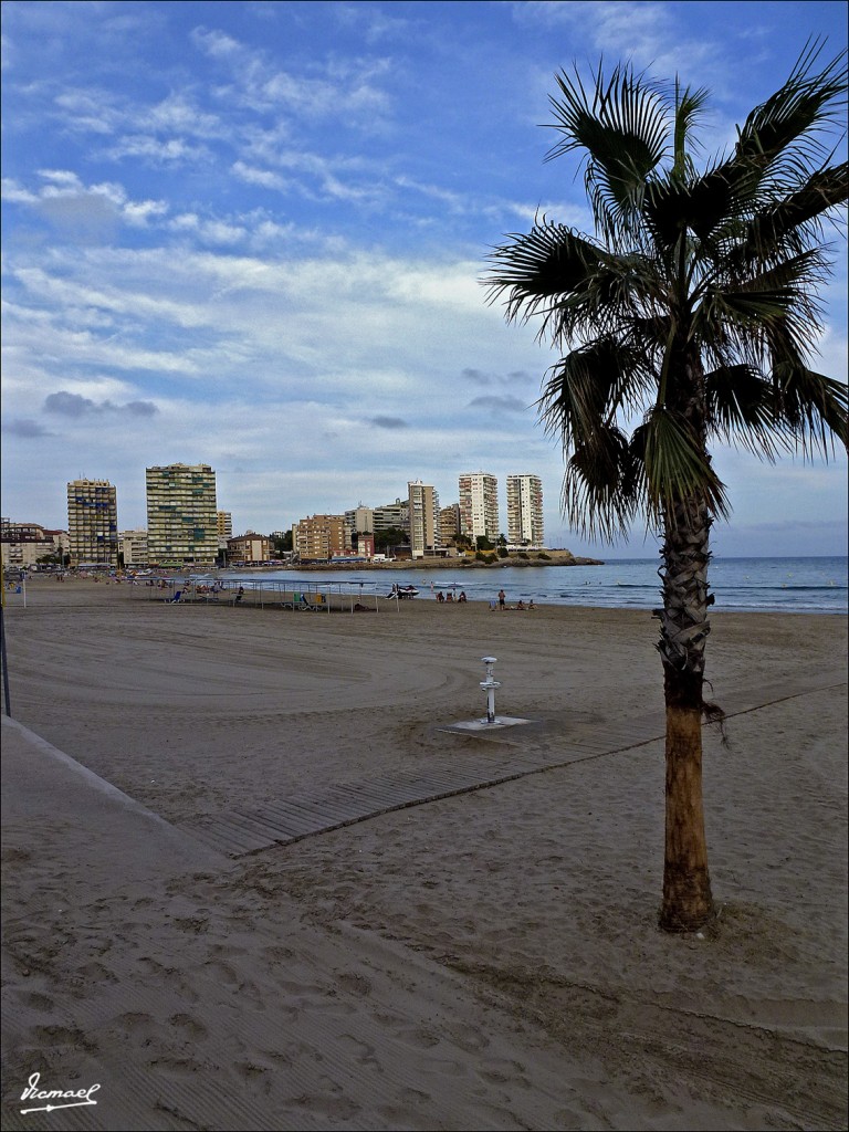 Foto: 120916-07 OROPESA DEL MAR - Oropesa Del Mar (Castelló), España