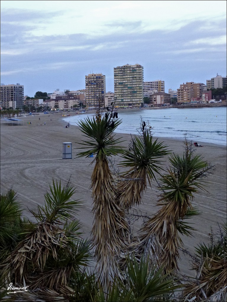 Foto: 120916-31 OROPESA DEL MAR - Oropesa Del Mar (Castelló), España