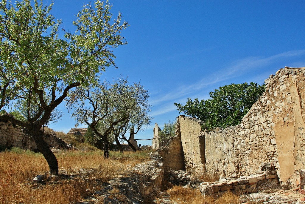 Foto: Restos de la guerra civil - Corbera d´Ebre (Tarragona), España