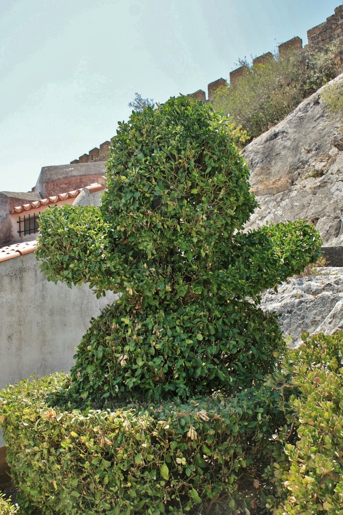 Foto: ¡¡¡¡¡Un abrazoo!!!! - Óbidos (Leiria), Portugal