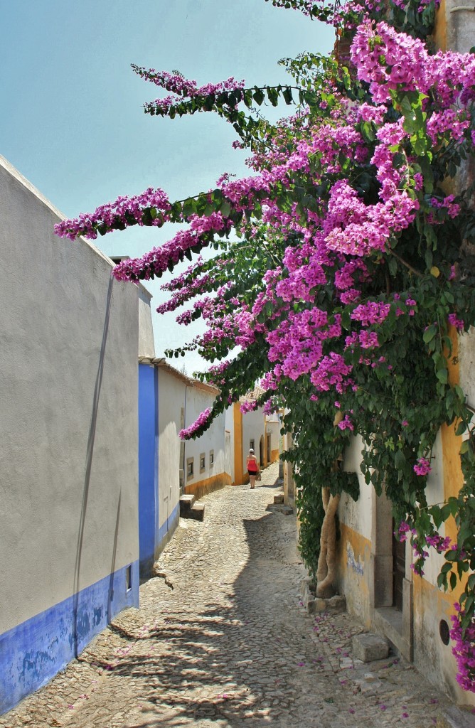 Foto: Interior del recinto amurallado - Óbidos (Leiria), Portugal