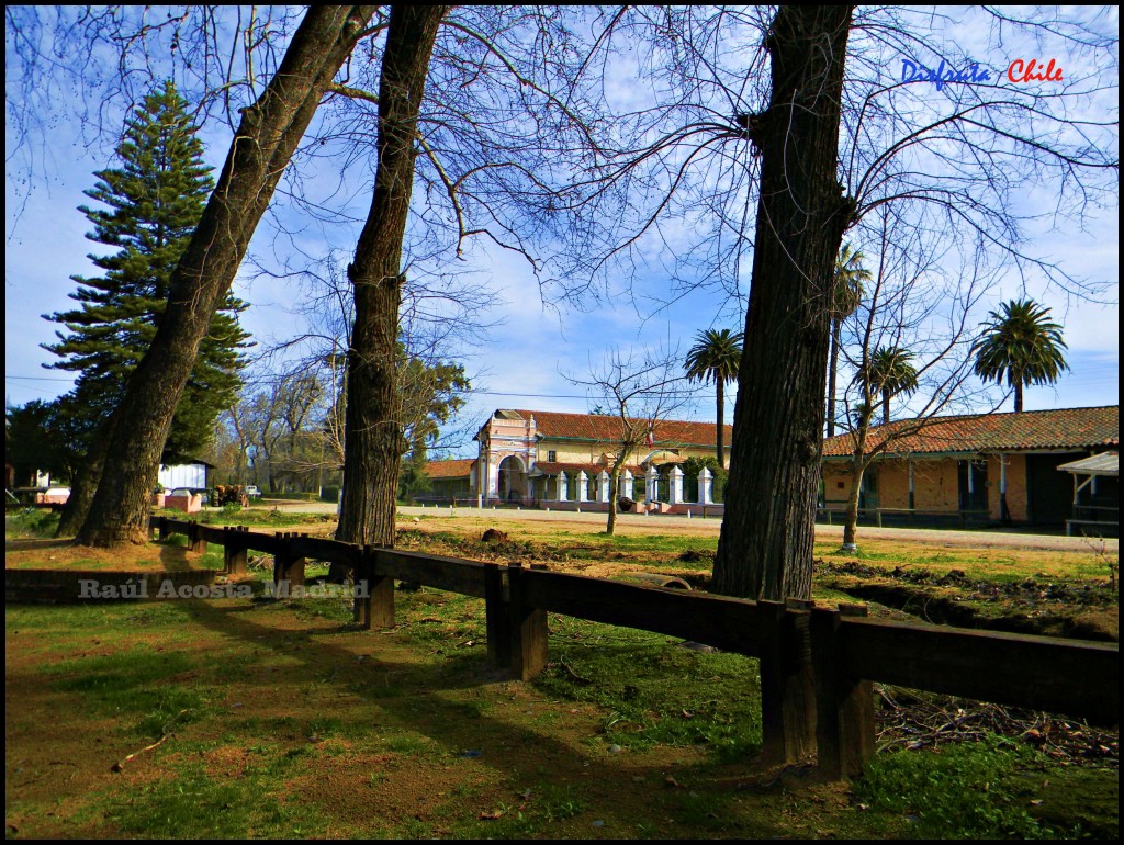 Foto de El Huique (Libertador General Bernardo OʼHiggins), Chile