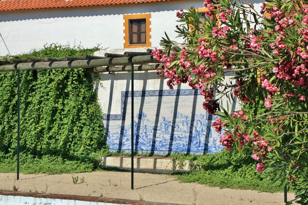 Foto: Jardín - Alter do Chao (Portalegre), Portugal