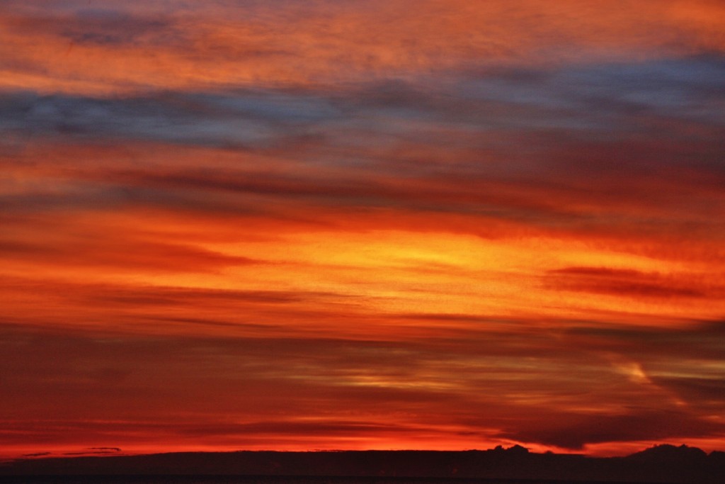 Foto: Atardecer - El Saler (València), España