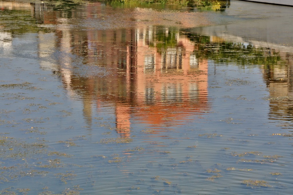 Foto: Reflejos en el rio Lis - Leiria, Portugal