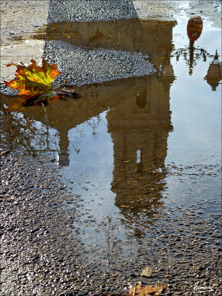 Foto: 130113-33 LA CARTUJA BAJA - Zaragoza (Aragón), España