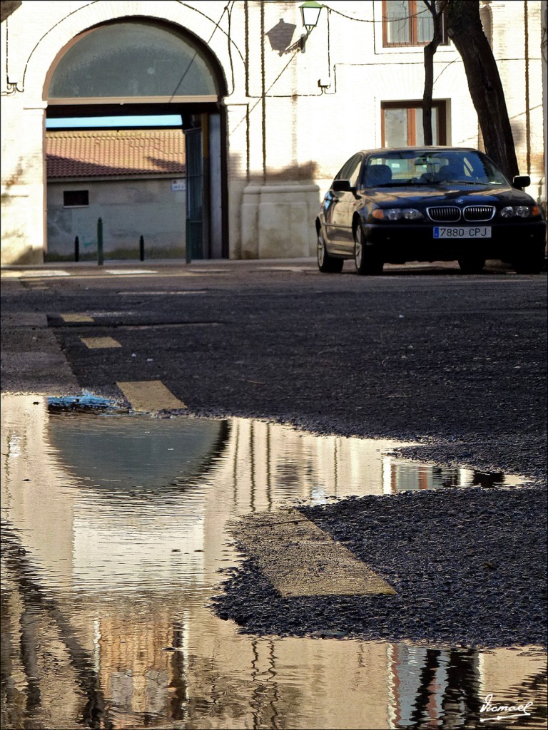 Foto: 130113-36 LA CARTUJA BAJA - Zaragoza (Aragón), España