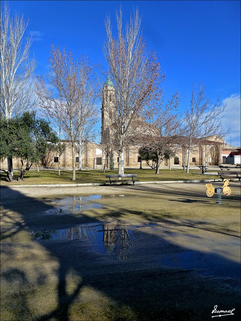 Foto: 130113-49 LA CARTUJA BAJA - Zaragoza (Aragón), España