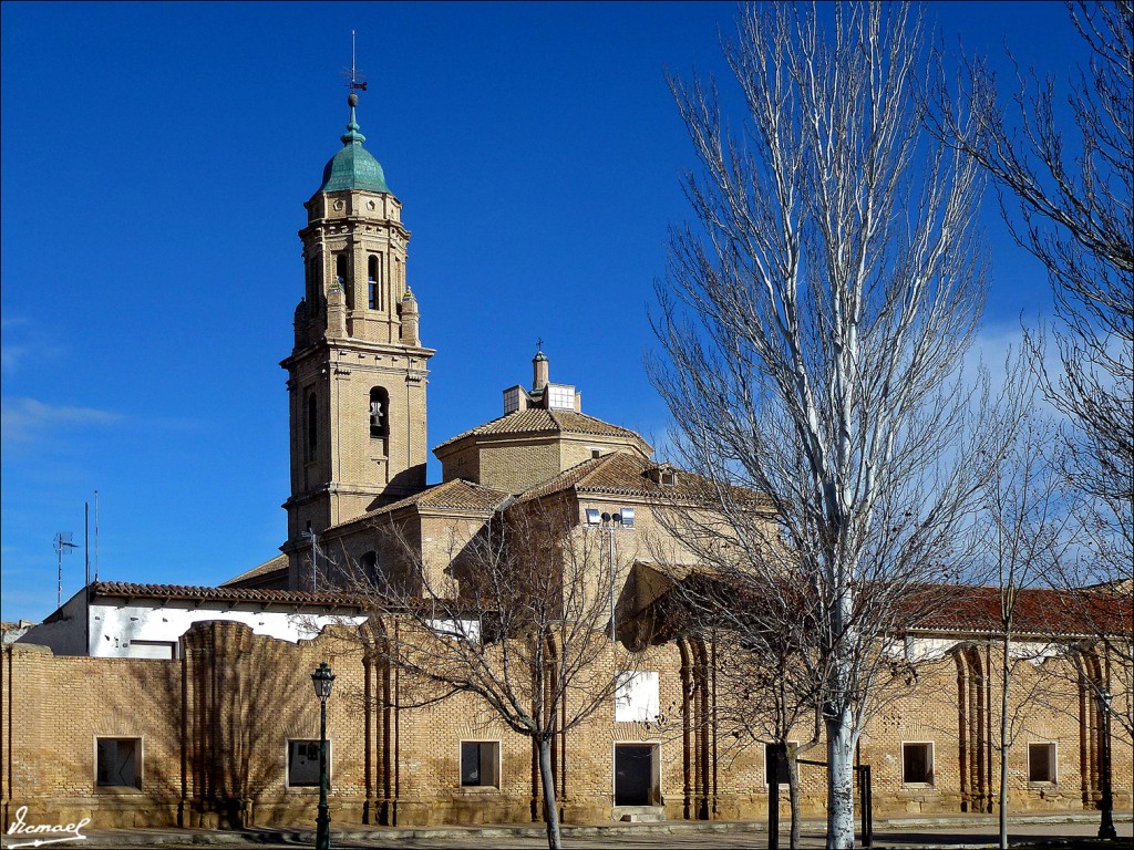 Foto: 130113-50 LA CARTUJA BAJA - Zaragoza (Aragón), España