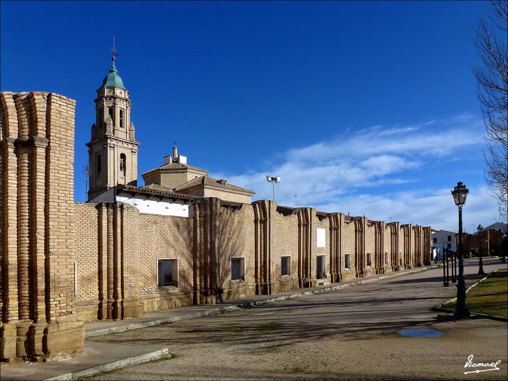 Foto: 130113-52 LA CARTUJA BAJA - Zaragoza (Aragón), España