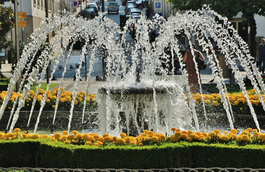 Foto: Rossio - Viseu, Portugal