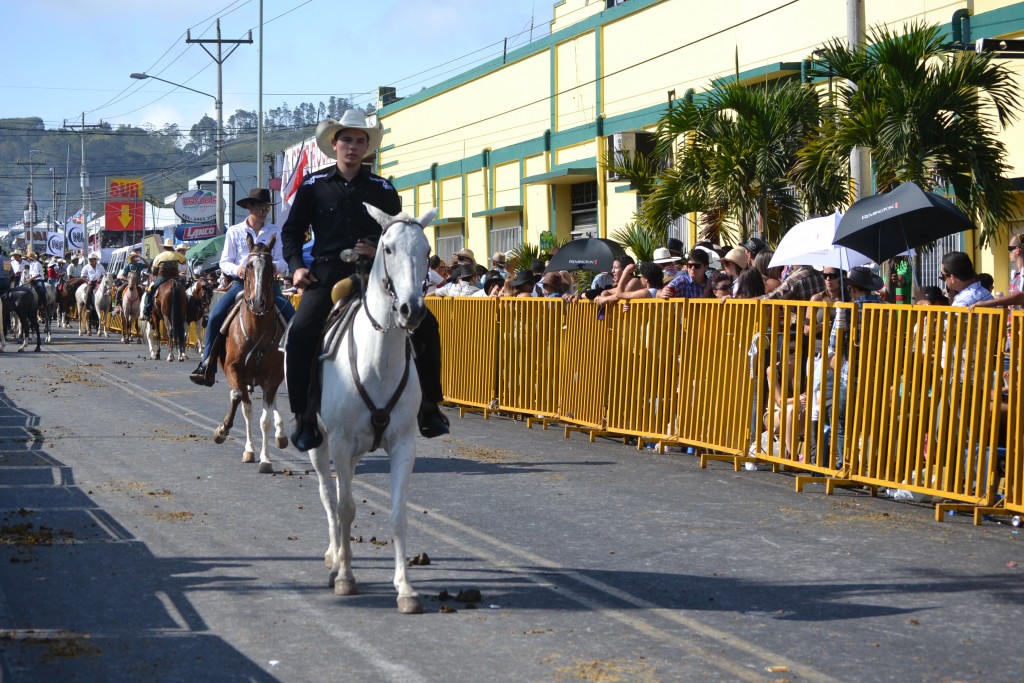 Foto: TOPE DE PALMARES 2013 - Palmares (Alajuela), Costa Rica