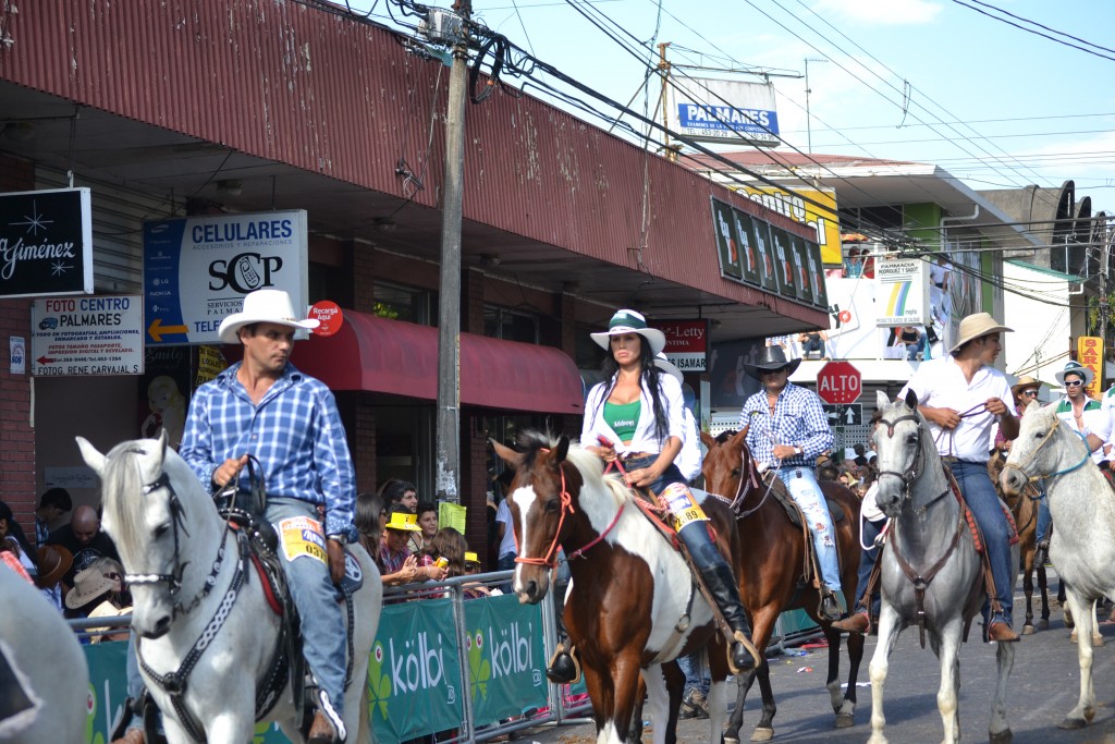 Foto: TOPE PALMARES 2013 - Palmares (Alajuela), Costa Rica