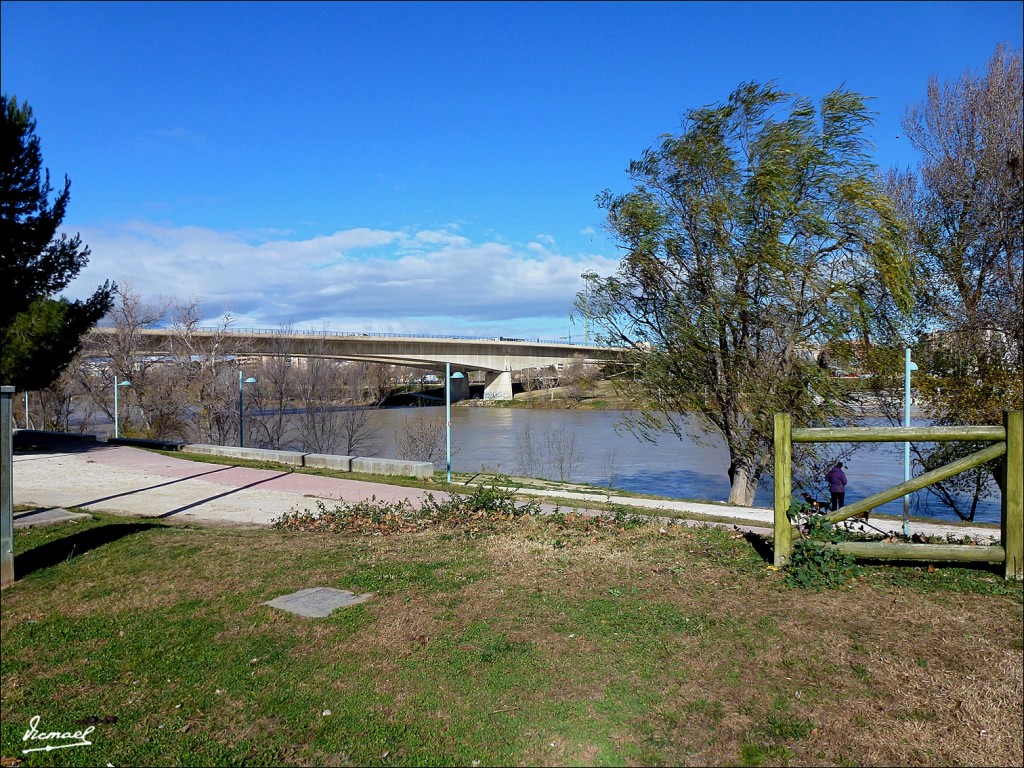 Foto: 130117-13 PUENTES RIO EBRO - Zaragoza (Aragón), España