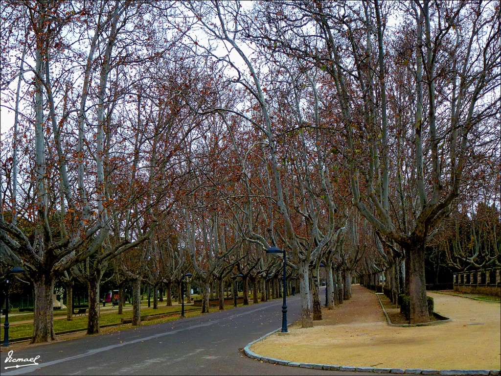 Foto: 130119-07 PARQUE ZARAGOZA - Zaragoza (Aragón), España