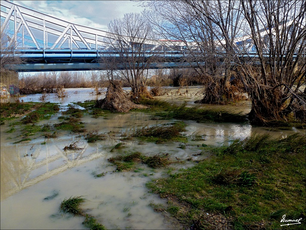 Foto: 130121-01 RIO GALLEGO S ISABEL - Zaragoza (Aragón), España