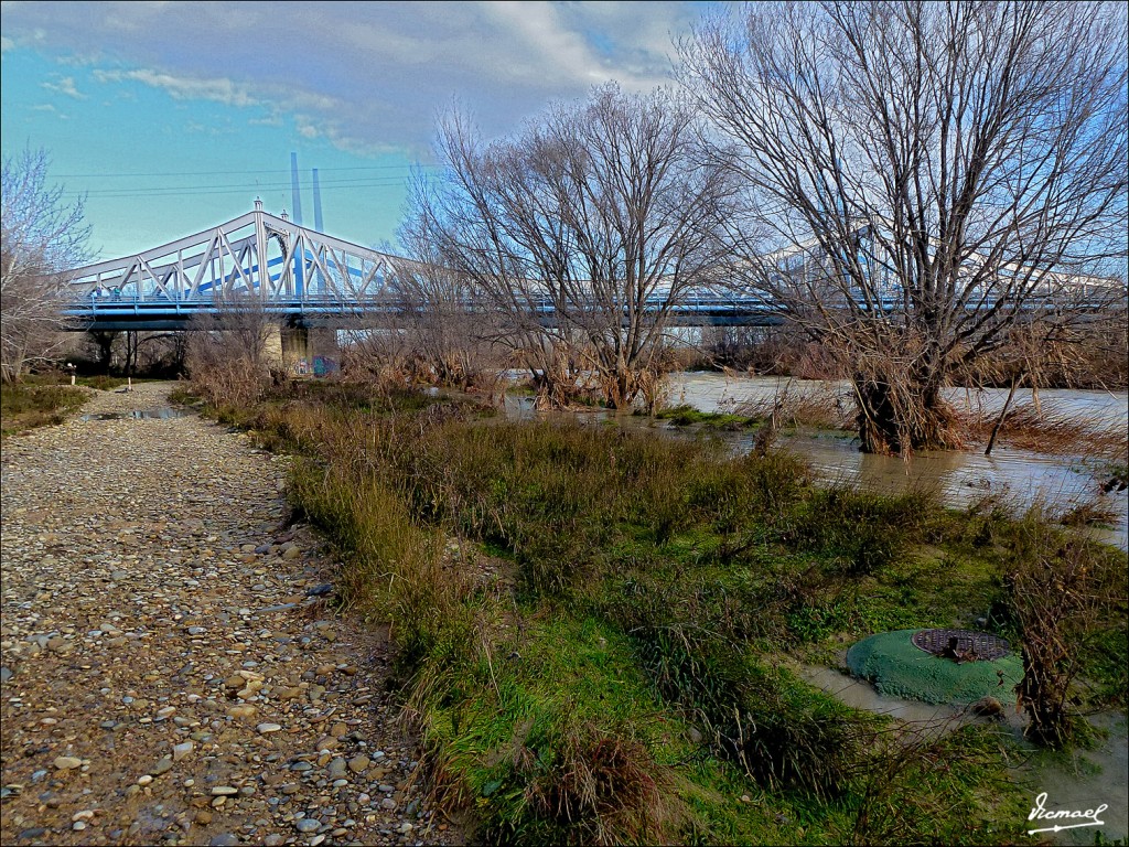 Foto: 130121-04 RIO GALLEGO S ISABEL - Zaragoza (Aragón), España