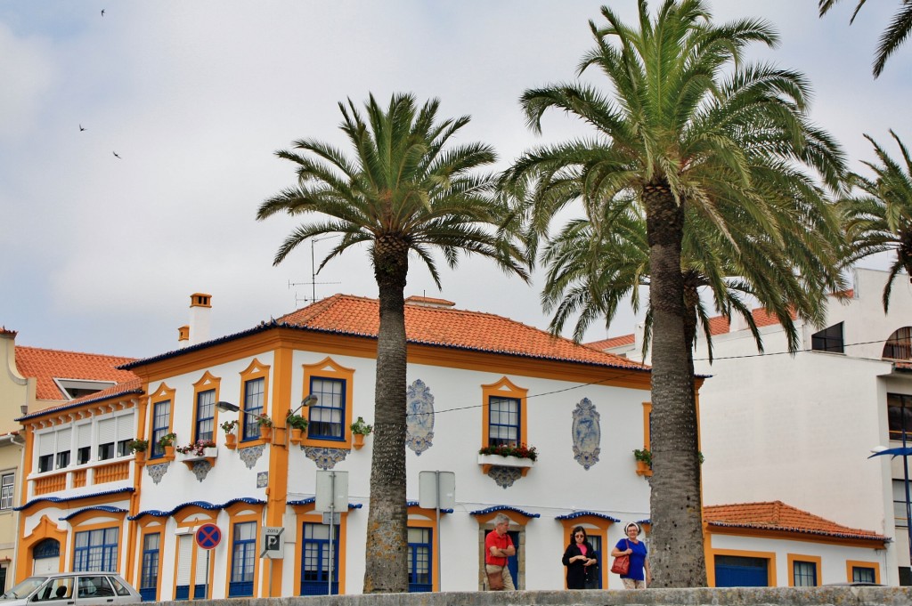 Foto: Navegando en un moliceiro - Aveiro, Portugal