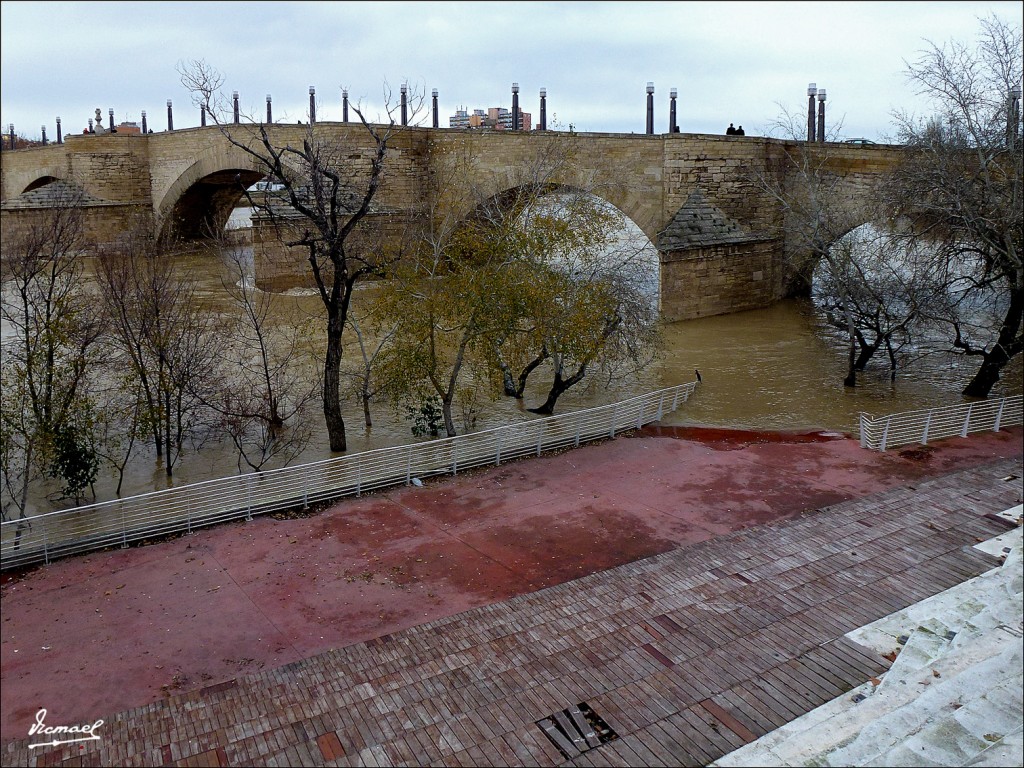 Foto: 130122-035 RIADA EN EL EBRO - Zaragoza (Aragón), España