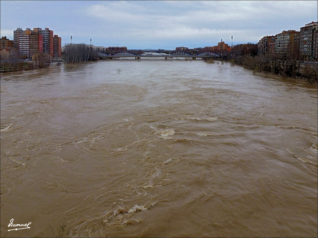 Foto: 130122-038 RIADA EN EL EBRO - Zaragoza (Aragón), España