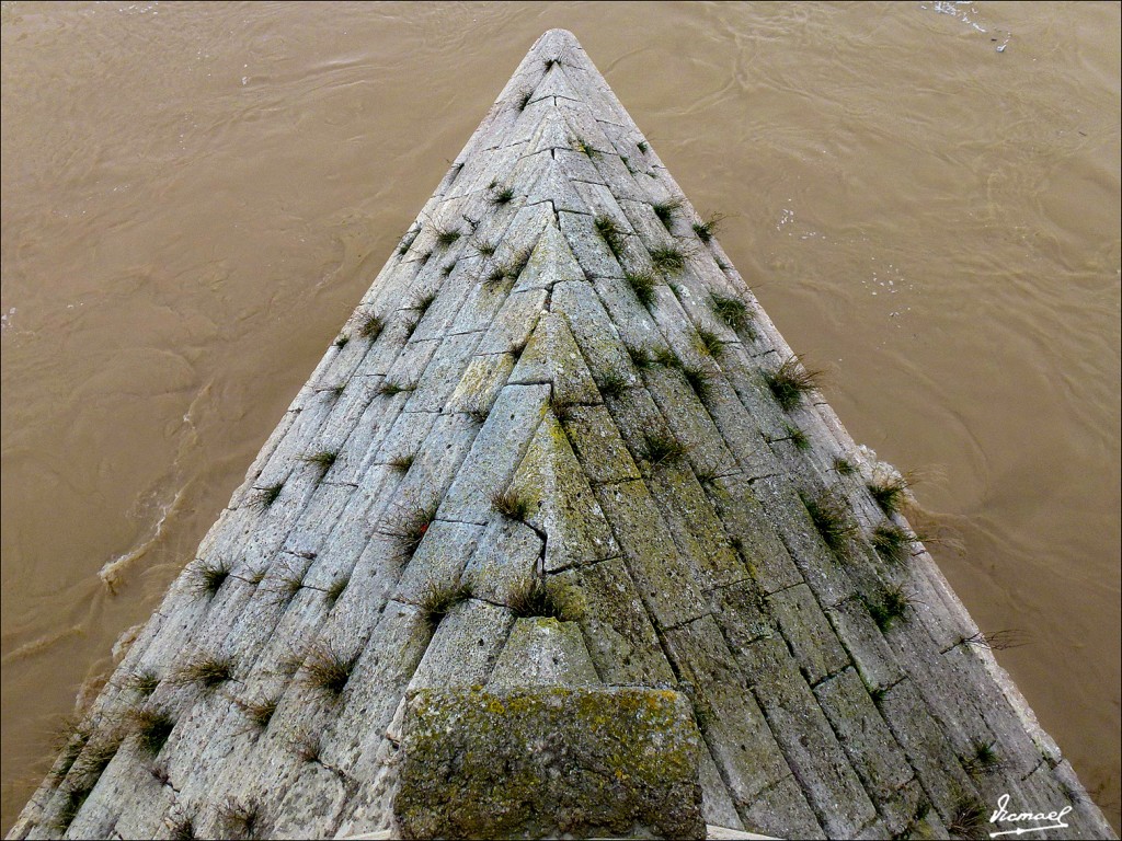 Foto: 130122-040 RIADA EN EL EBRO - Zaragoza (Aragón), España