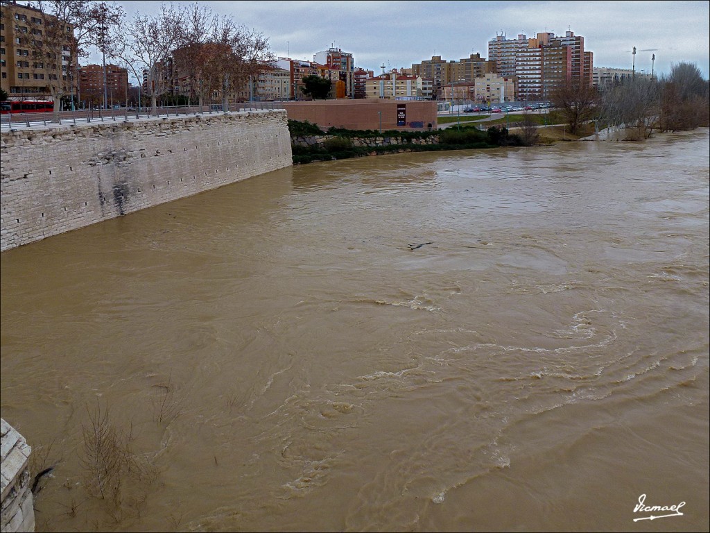 Foto: 130122-042 RIADA EN EL EBRO - Zaragoza (Aragón), España