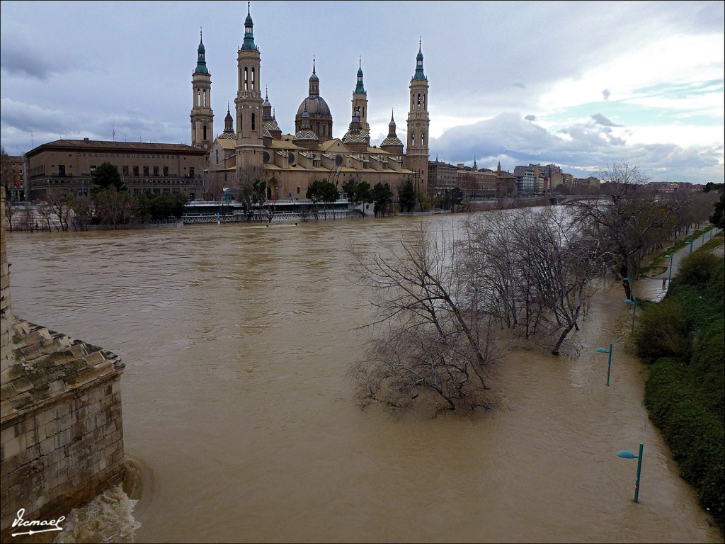 Foto: 130122-044 RIADA EN EL EBRO - Zaragoza (Aragón), España