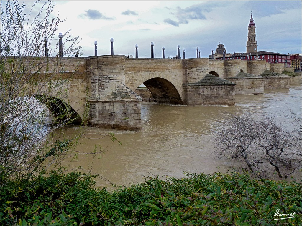 Foto: 130122-045 RIADA EN EL EBRO - Zaragoza (Aragón), España