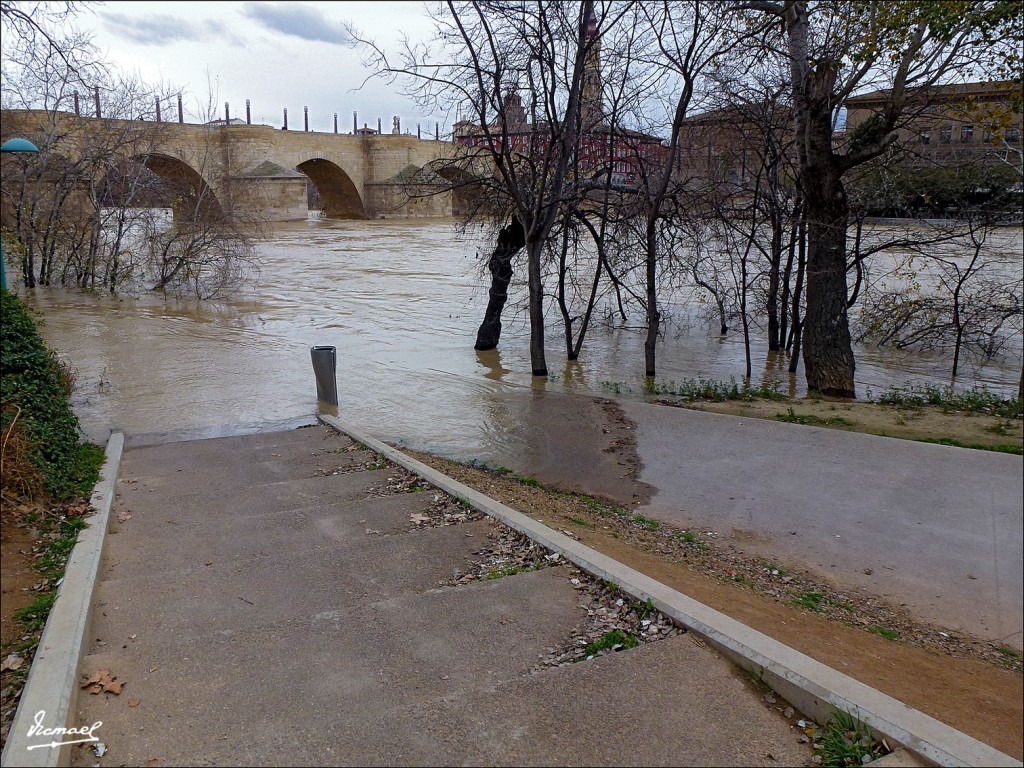 Foto: 130122-046 RIADA EN EL EBRO - Zaragoza (Aragón), España