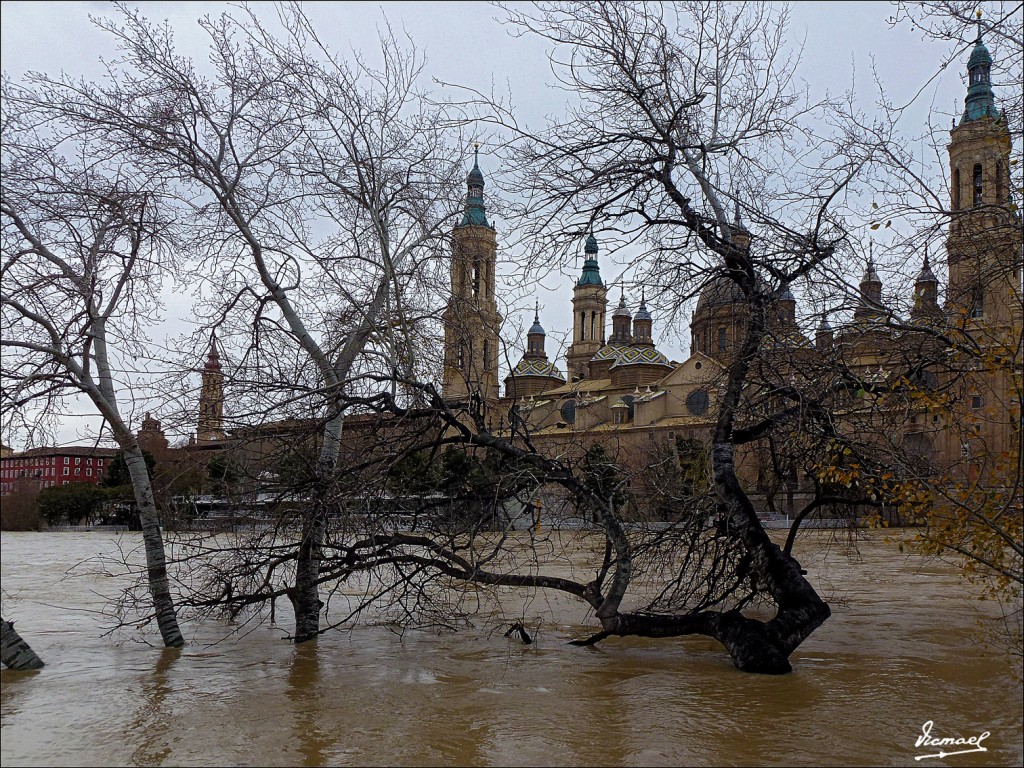 Foto: 130122-050 RIADA EN EL EBRO - Zaragoza (Aragón), España