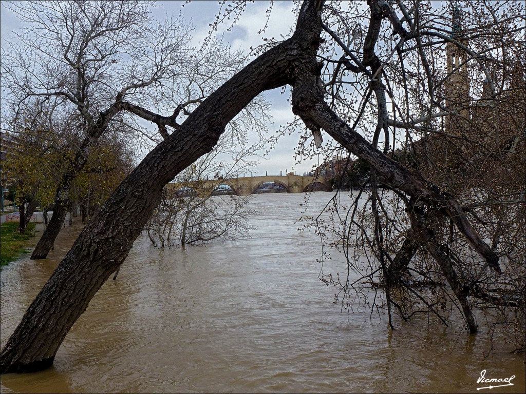 Foto: 130122-053 RIADA EN EL EBRO - Zaragoza (Aragón), España