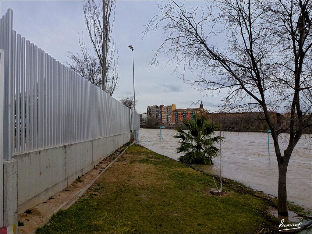 Foto: 130122-060 RIADA EN EL EBRO - Zaragoza (Aragón), España