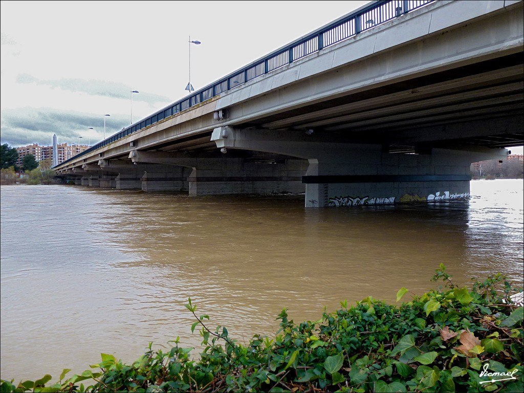 Foto: 130122-062 RIADA EN EL EBRO - Zaragoza (Aragón), España